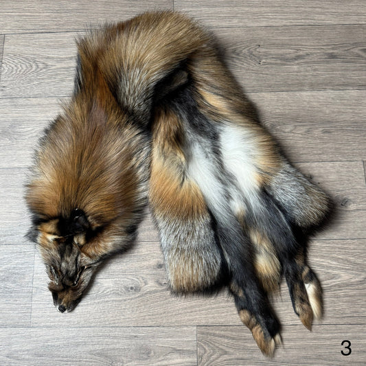 Smokey fox pelt (3)