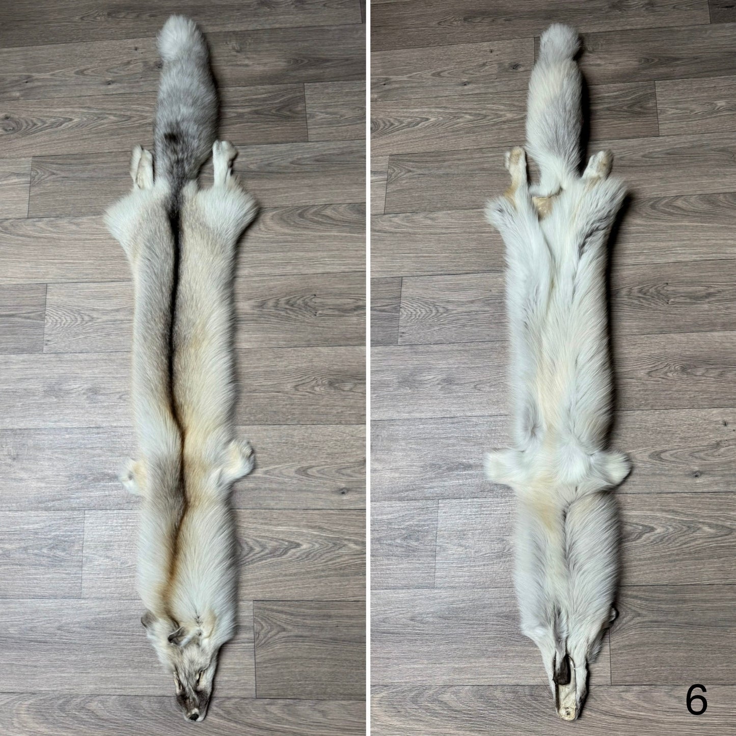 Fawn Light fox pelt (6)