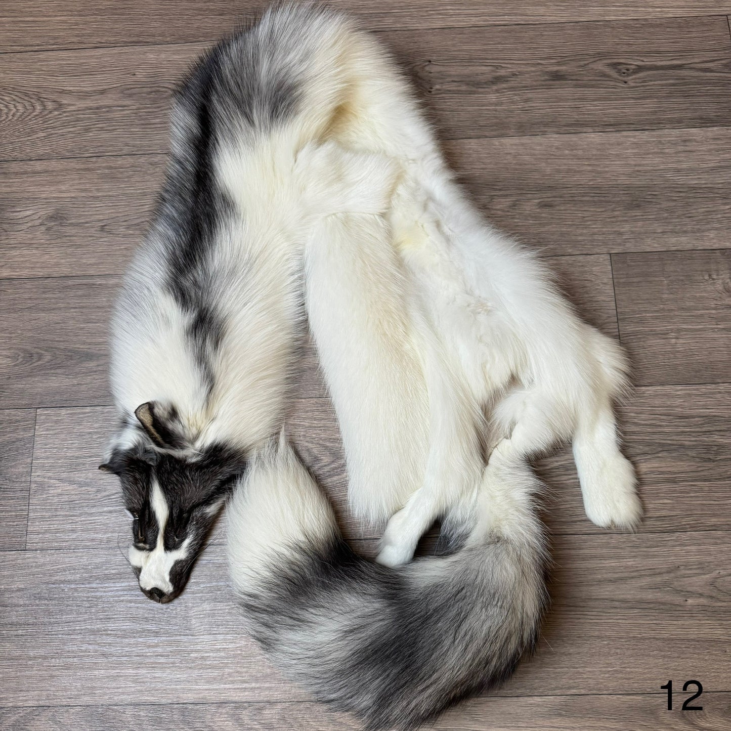 Marble Frost fox pelt (12)