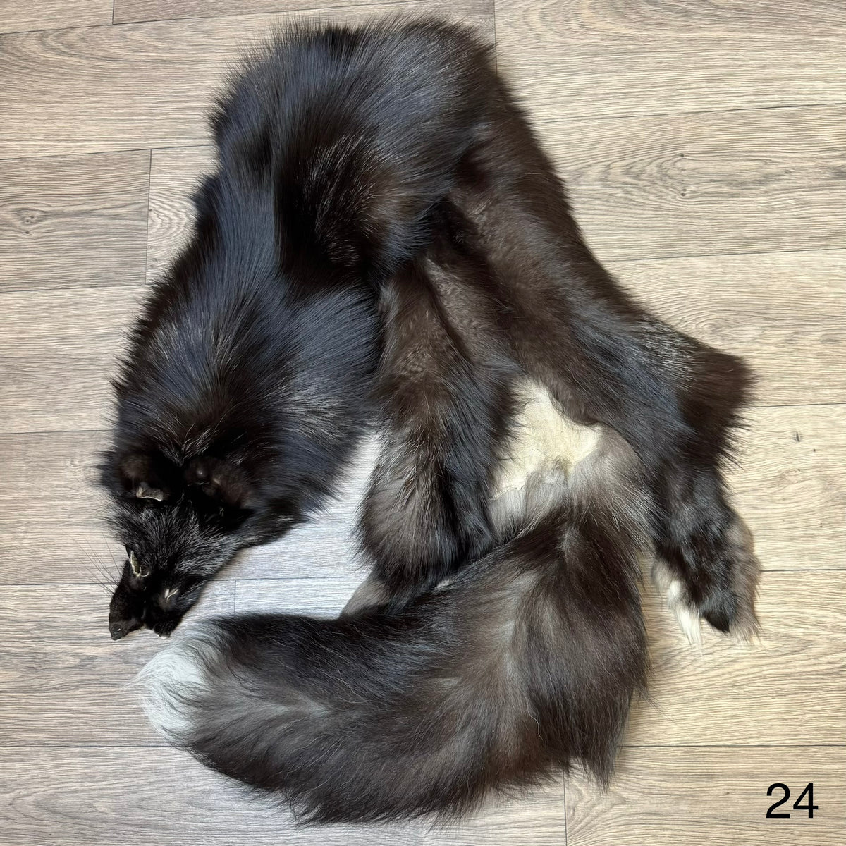 Silver fox pelt (24)
