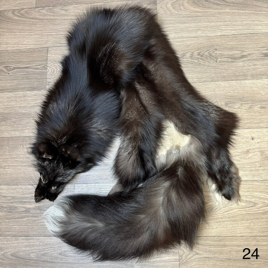 Silver fox pelt (24)
