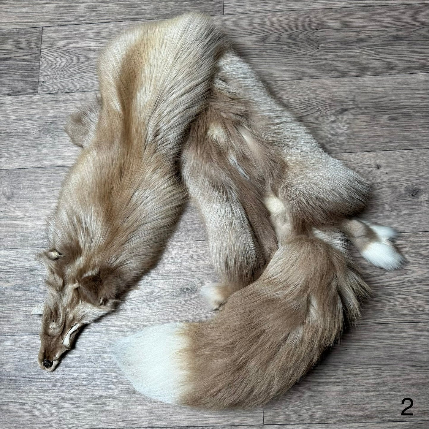Amber fox pelt (2)
