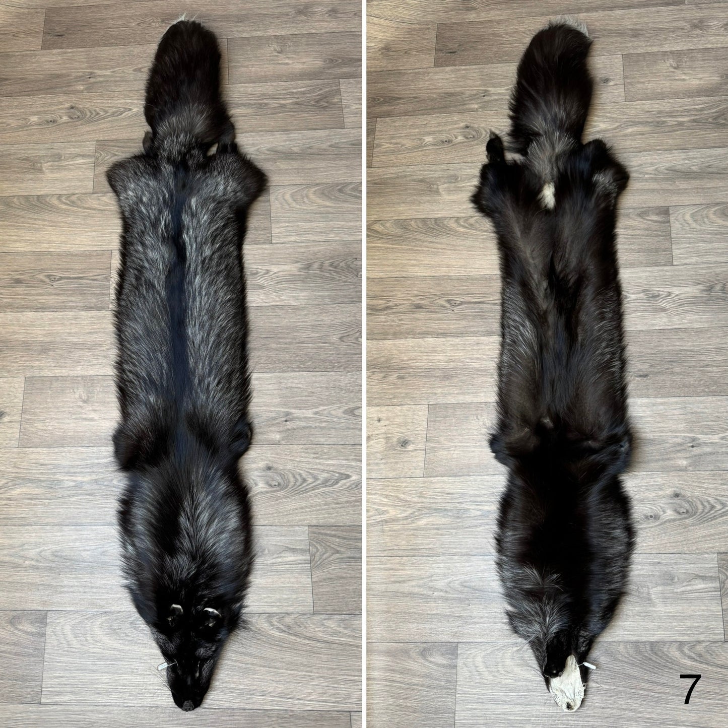 Silver fox pelt (7)