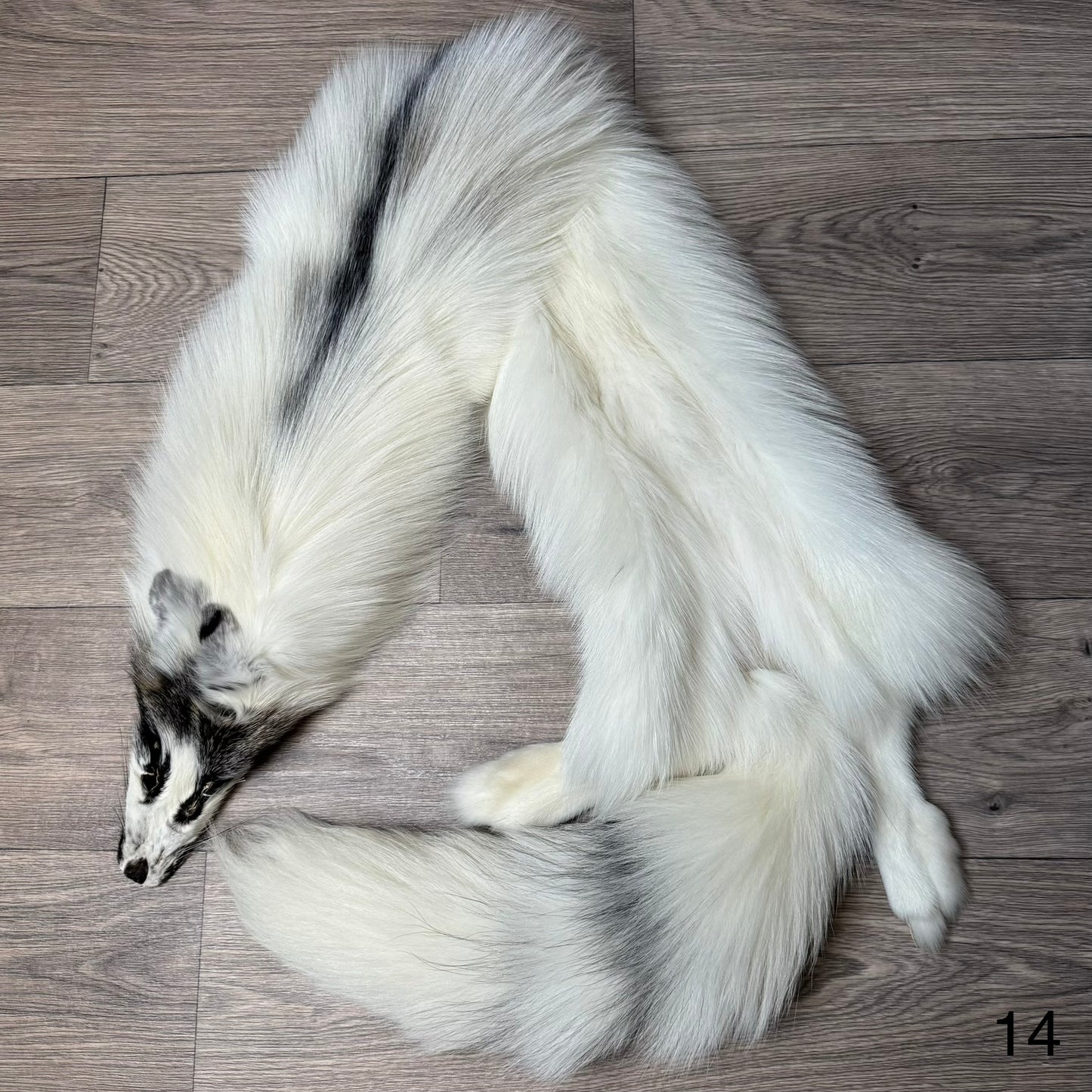 Cross Marble fox pelt (14)