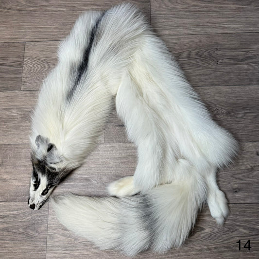 Cross Marble fox pelt (14)