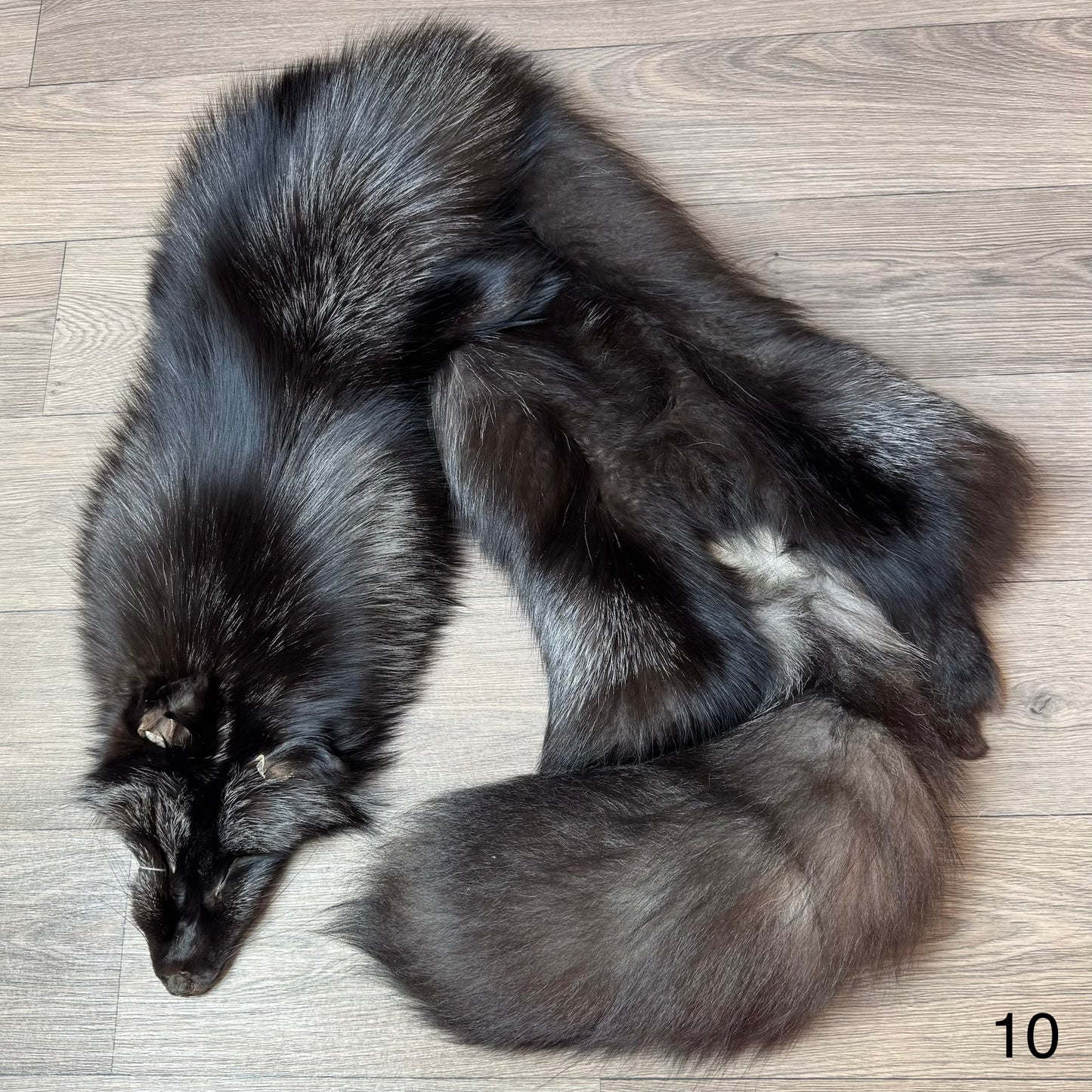 Silver fox pelt (10)