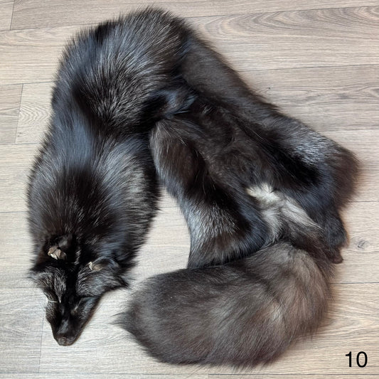 Silver fox pelt (10)