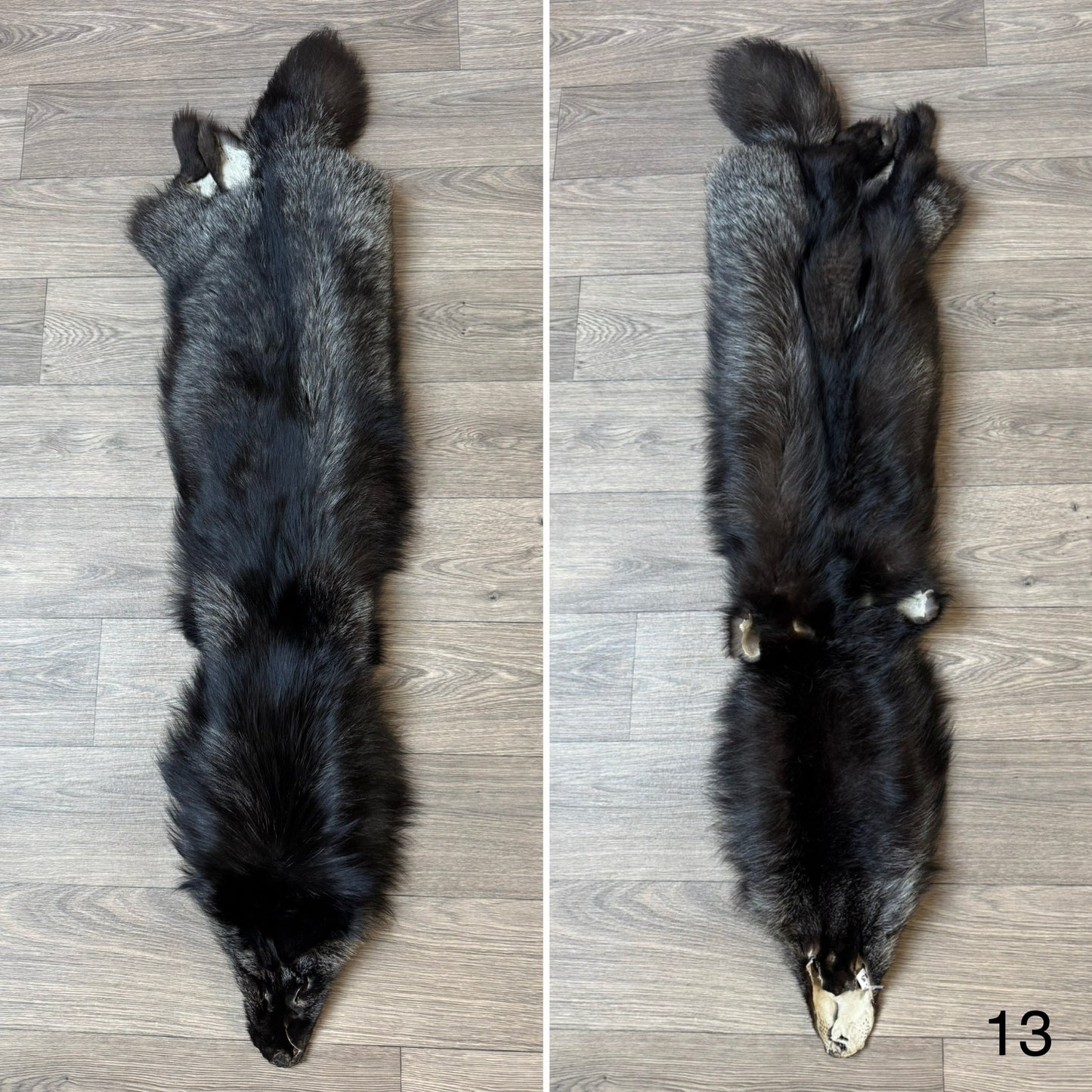Silver fox pelt (13)