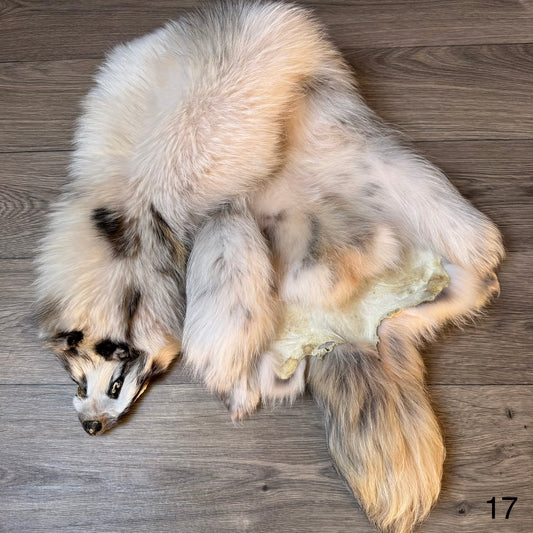 Marble tanuki pelt (17)