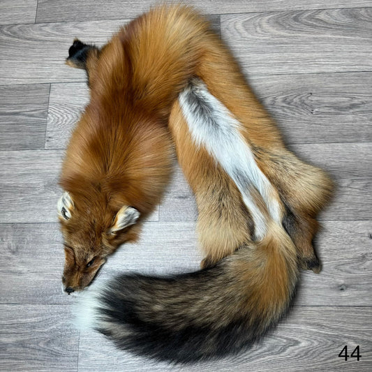 Gold fox pelt (44)