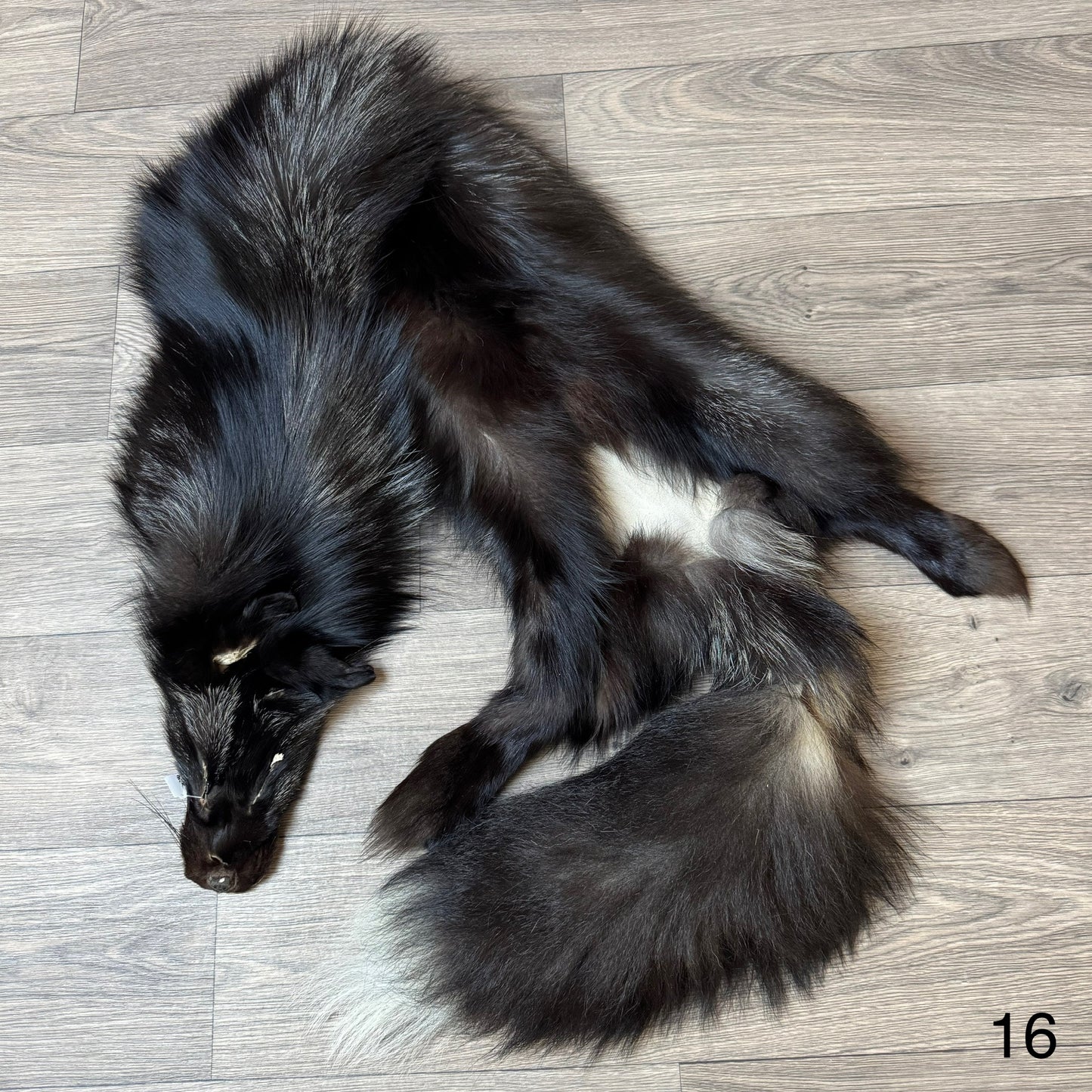 Silver fox pelt (16)