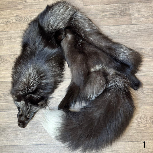 Silver fox pelt (1)