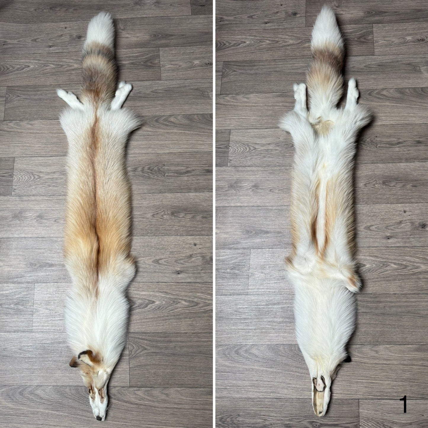 Gold Platinum fox pelt (1)