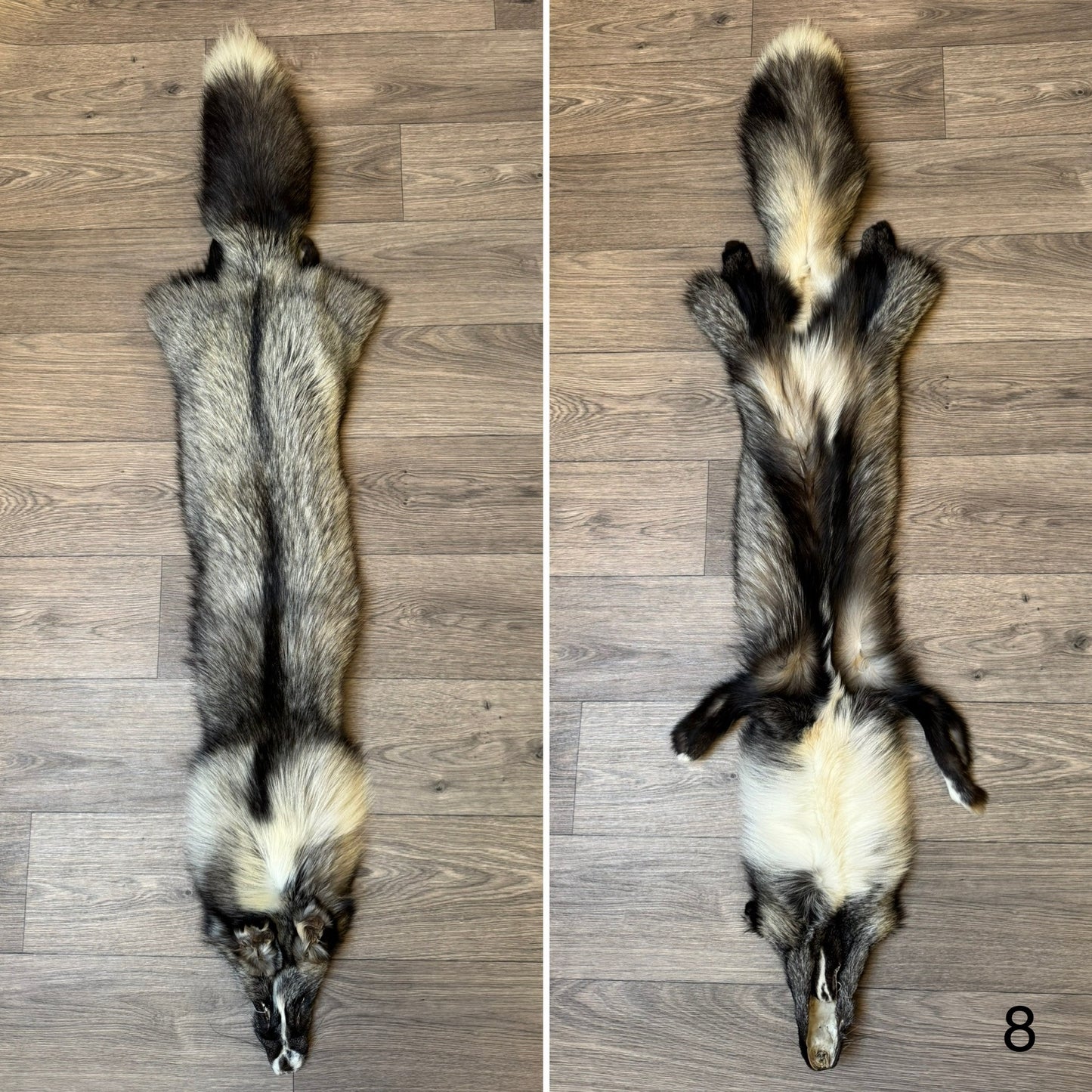 Cross Whitemark fox pelt (8)