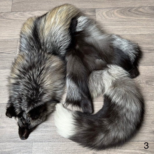 Cross fox pelt (3)