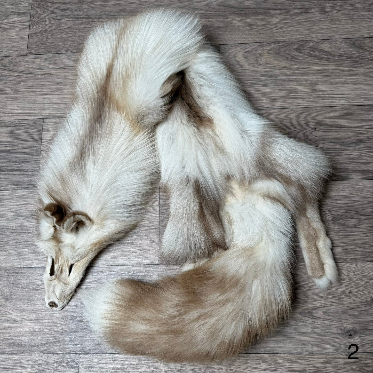 Smokey Snow Glow fox pelt (2)