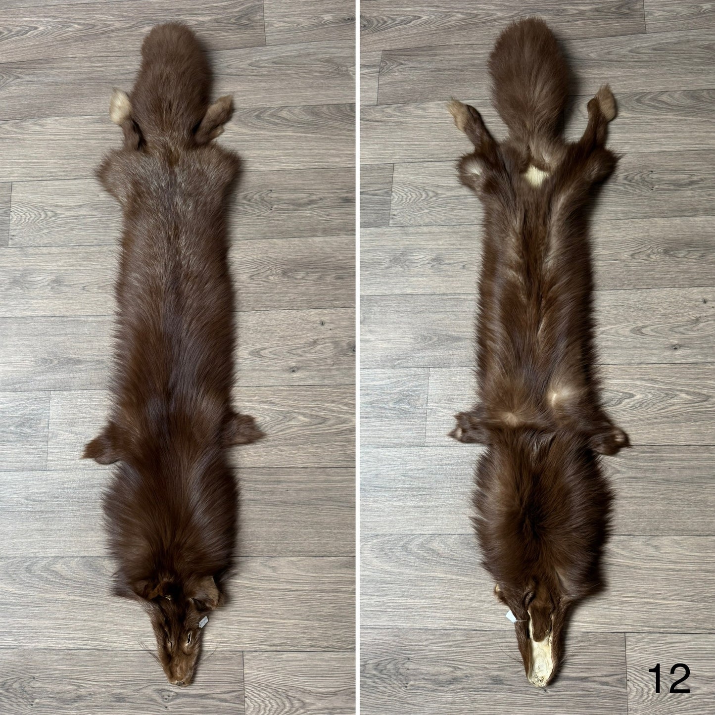 Burgundy fox pelt (12)