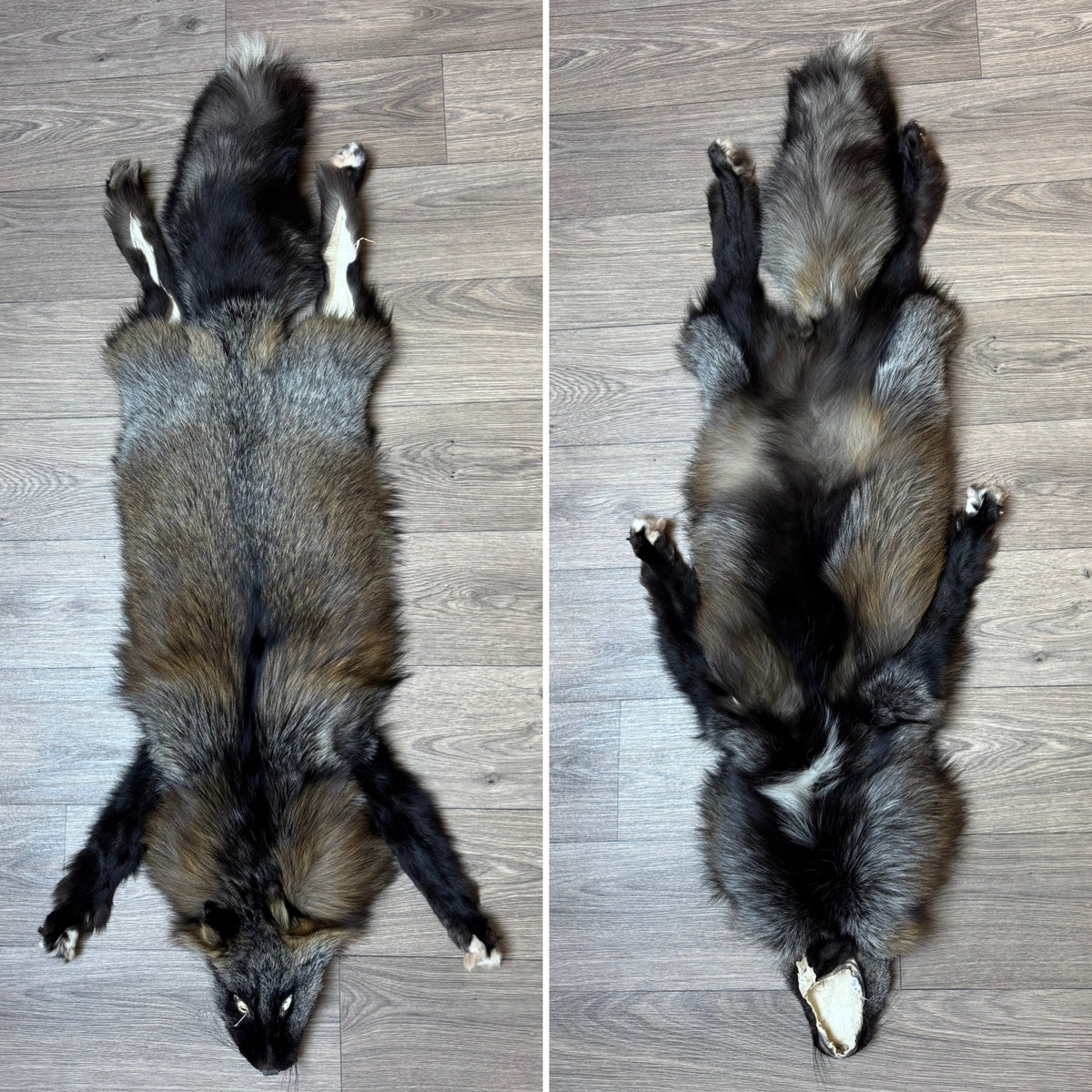 Male Cross fox mountable pelt (tag 111)
