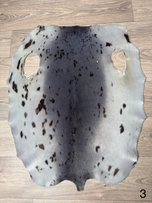 Harp seal skin (3)