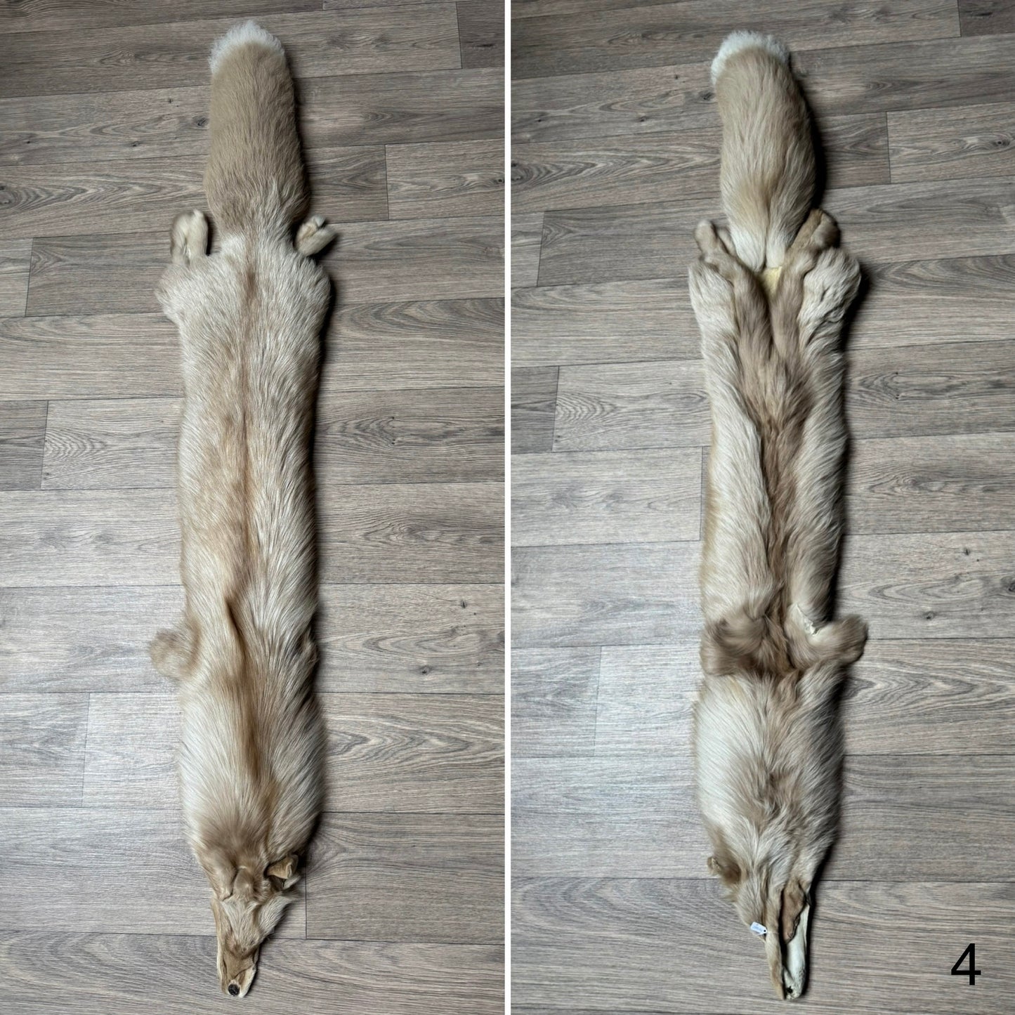 Amber fox pelt (4)