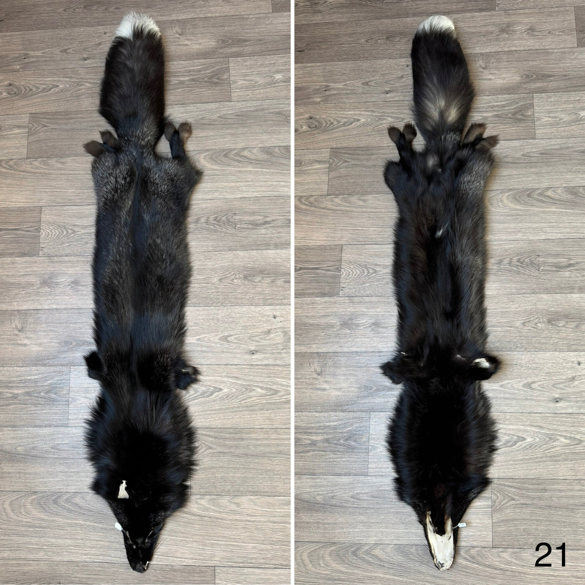 Silver fox pelt (21)