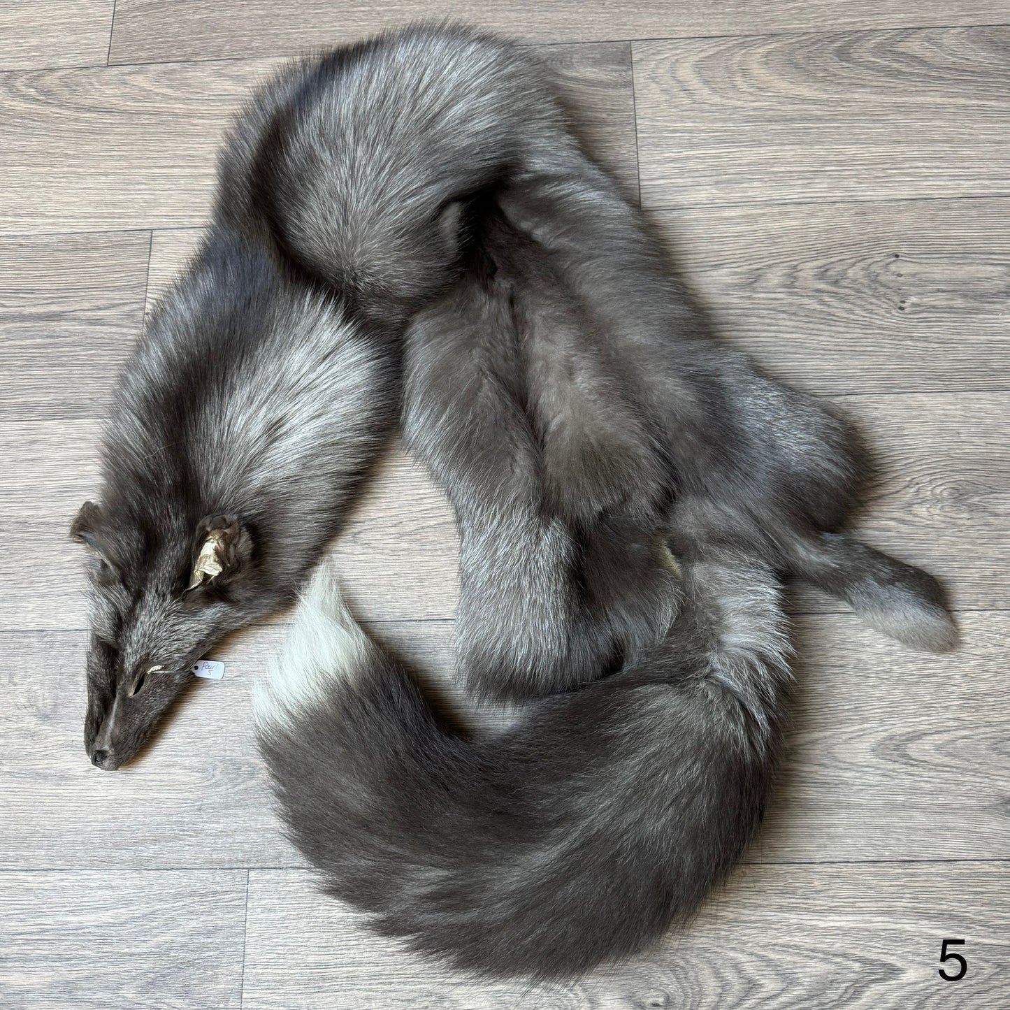 Pearl fox pelt (5)