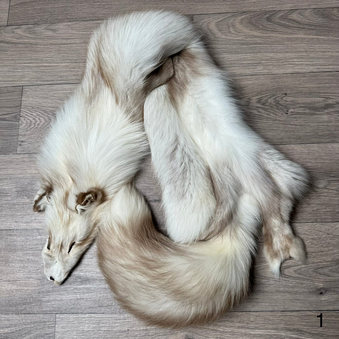 Smokey Snow Glow Whitemark fox pelt (1)