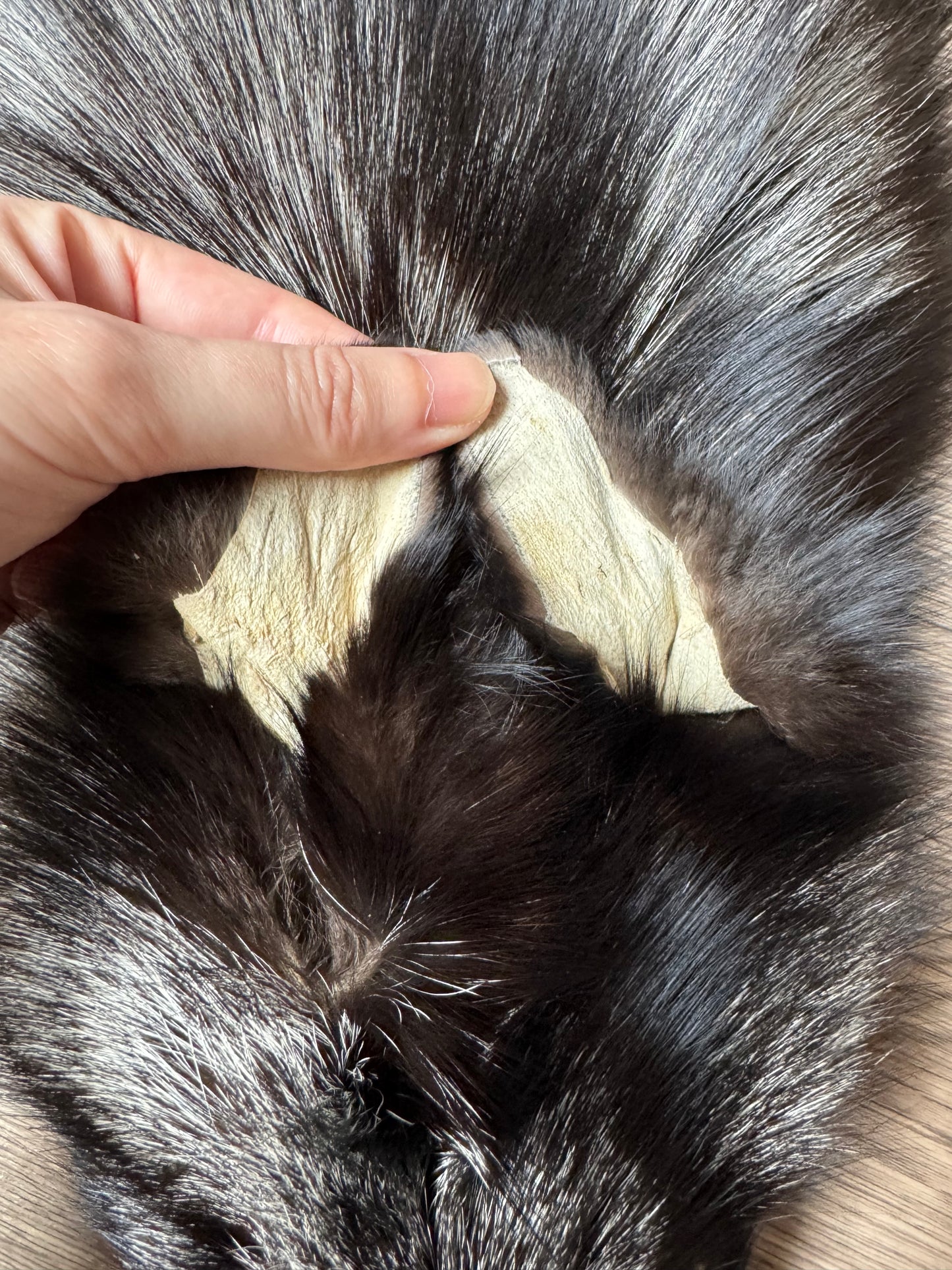 Silver fox pelt (22)