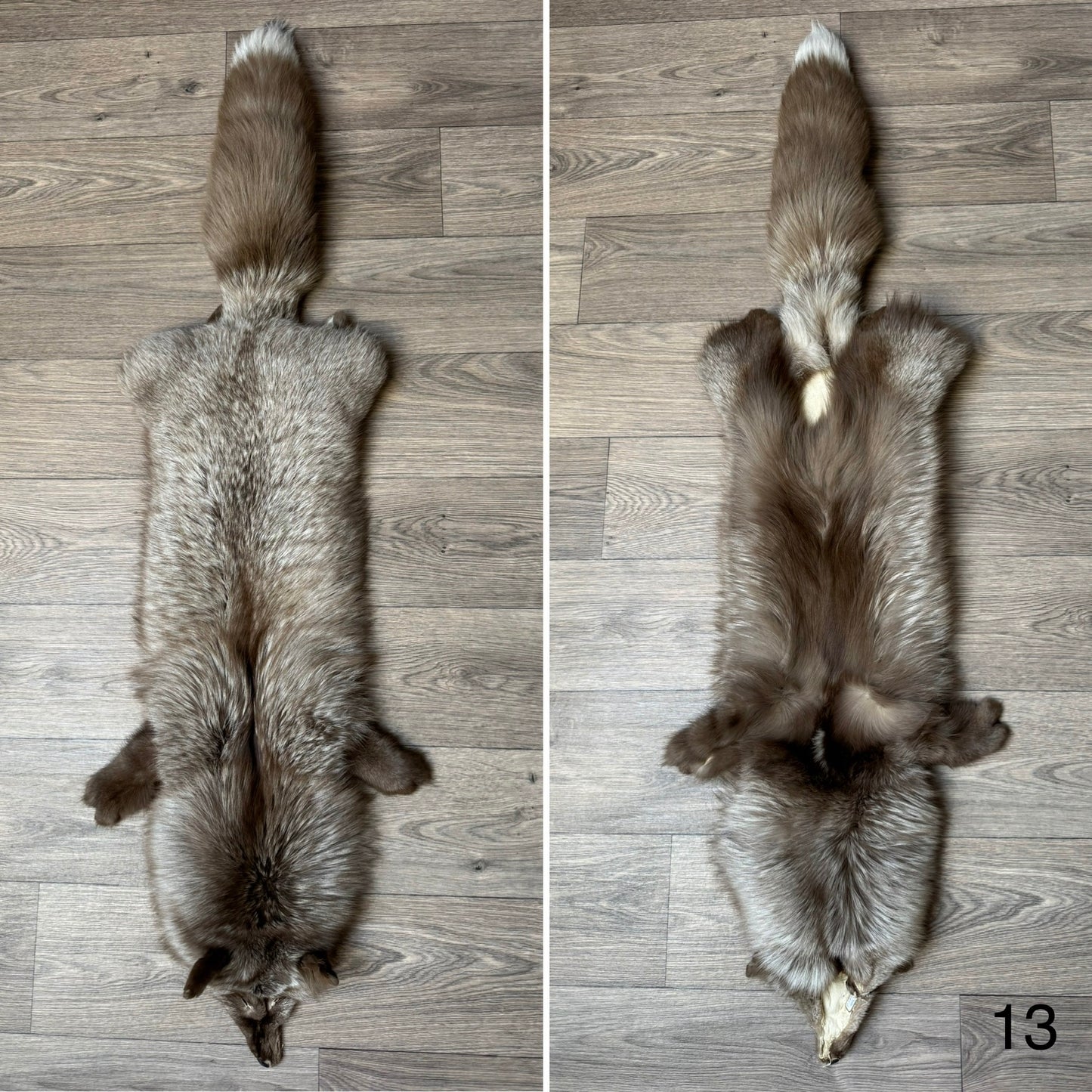 Polish Pastel fox pelt (13)