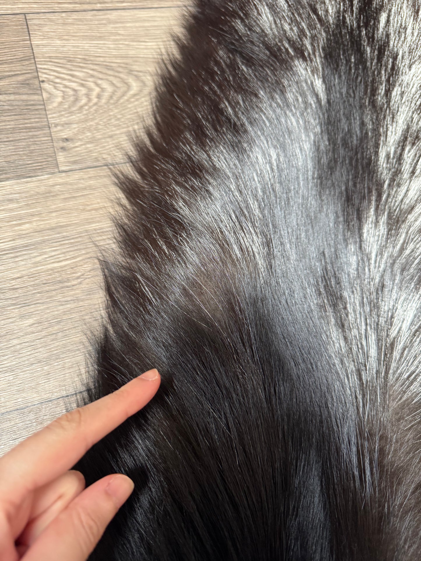 Silver fox pelt (18)