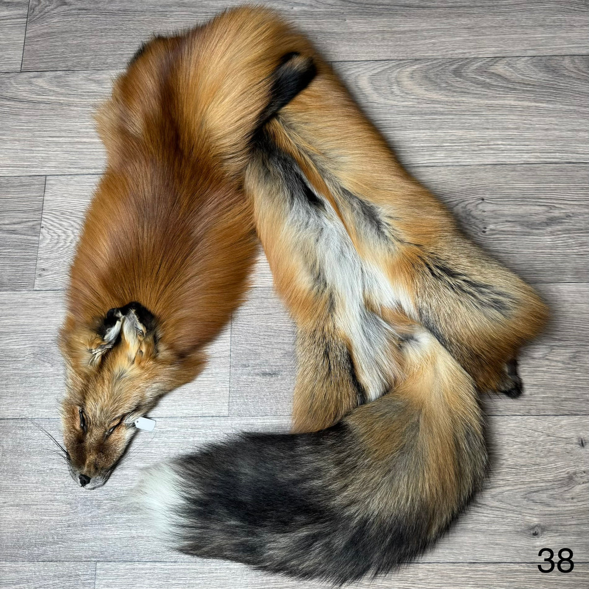 Gold fox pelt (38)