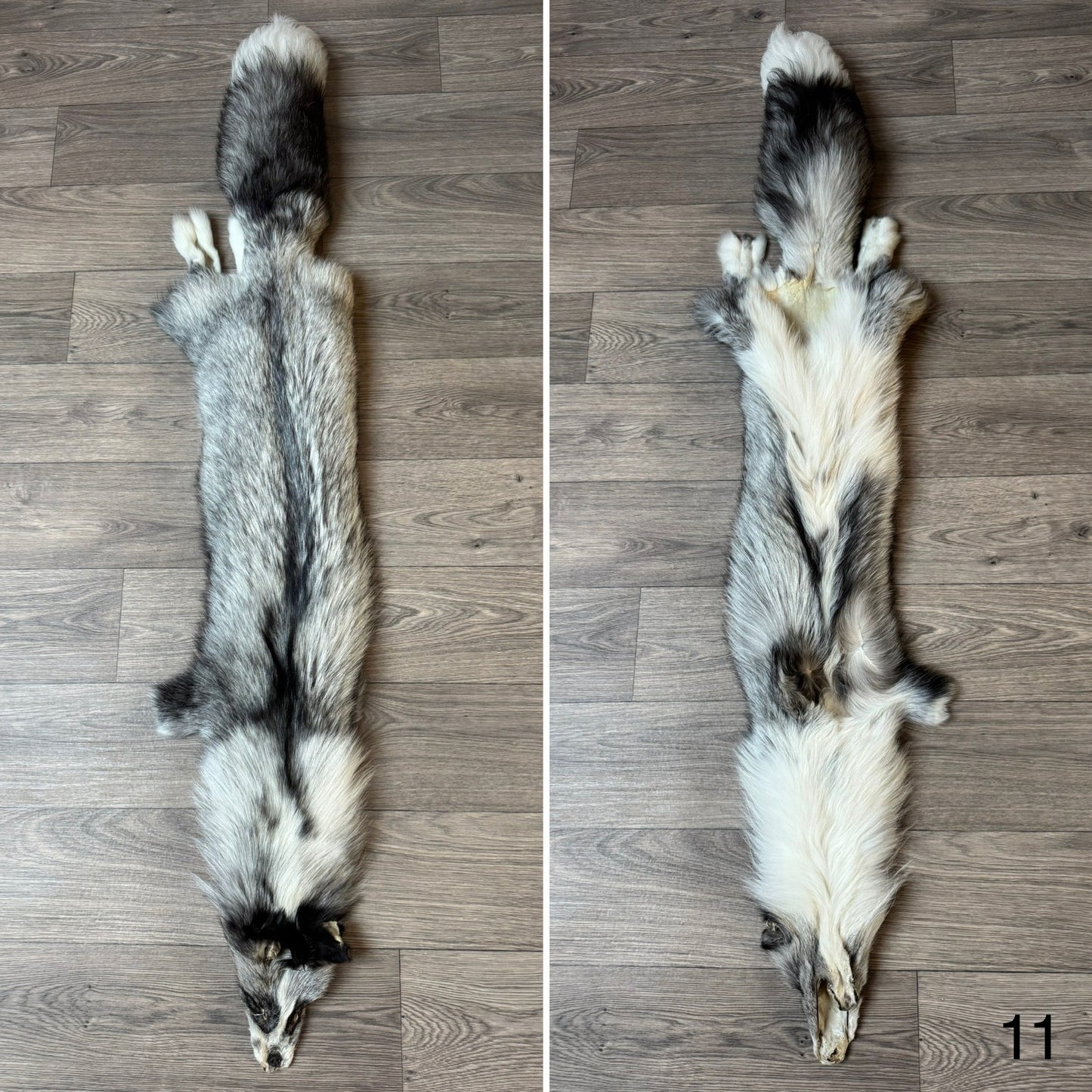 Platinum fox pelt (11)