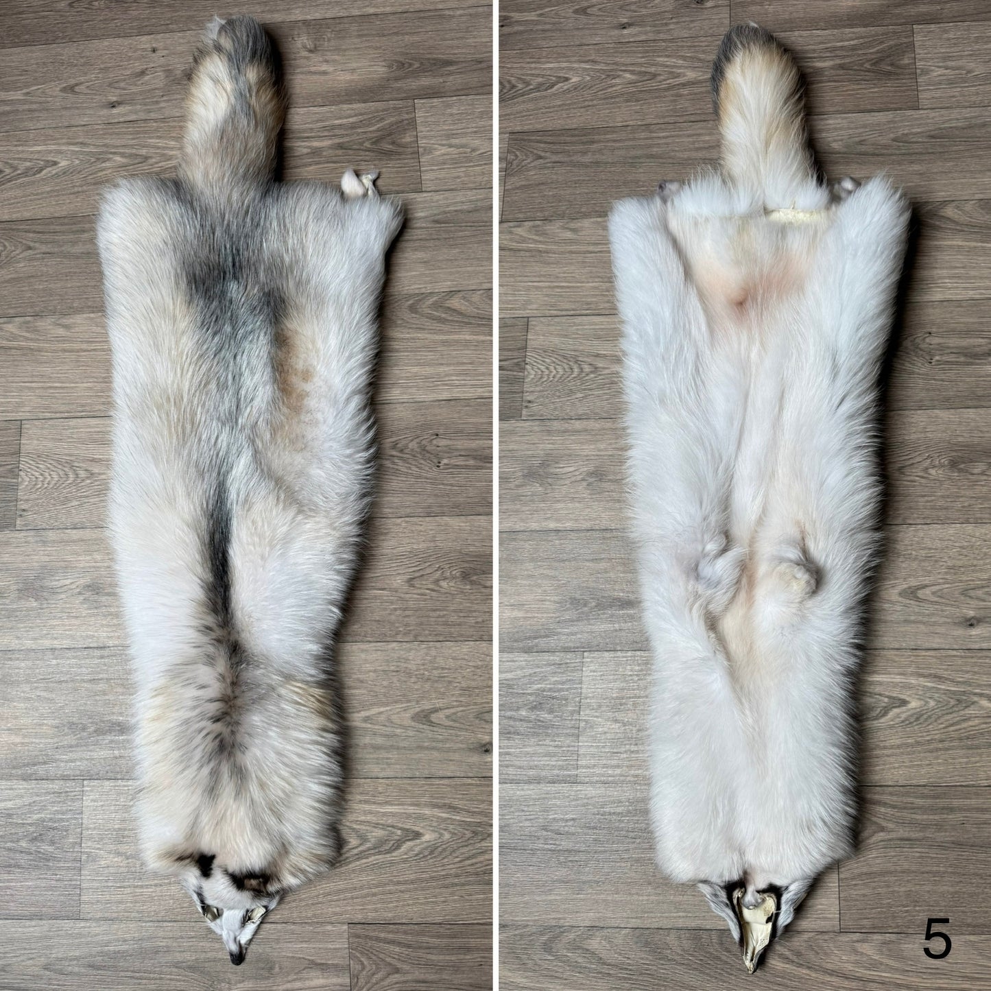 Marble tanuki pelt (5)