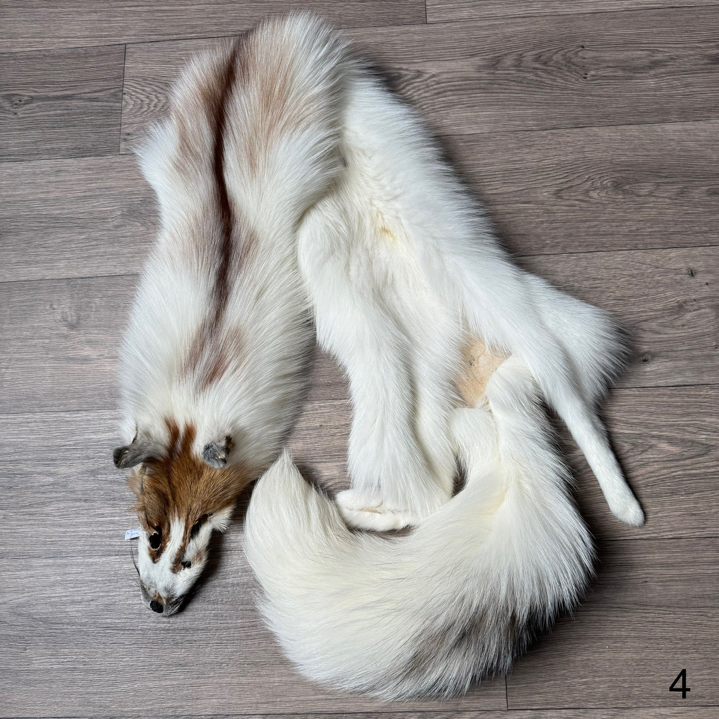 Sun Glow fox pelt (4)