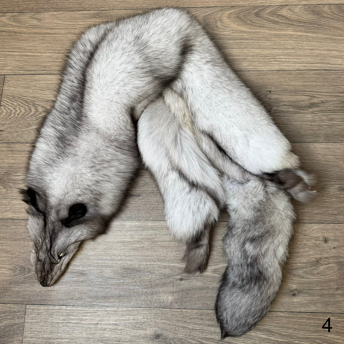 Blue fox pelt (4)