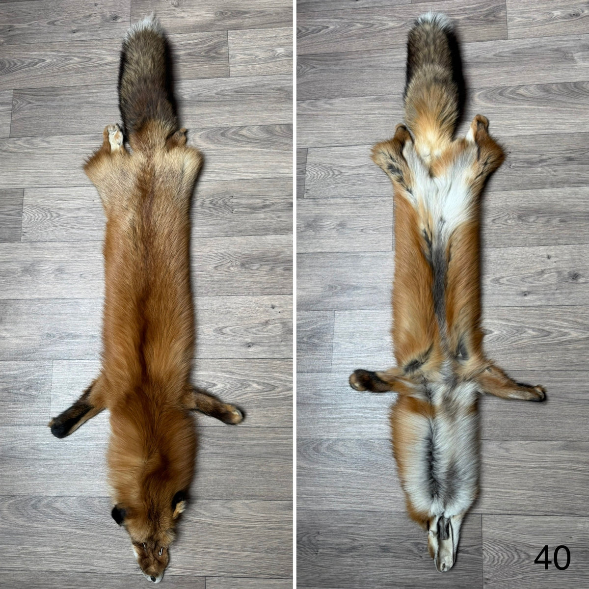 Gold fox pelt (40)