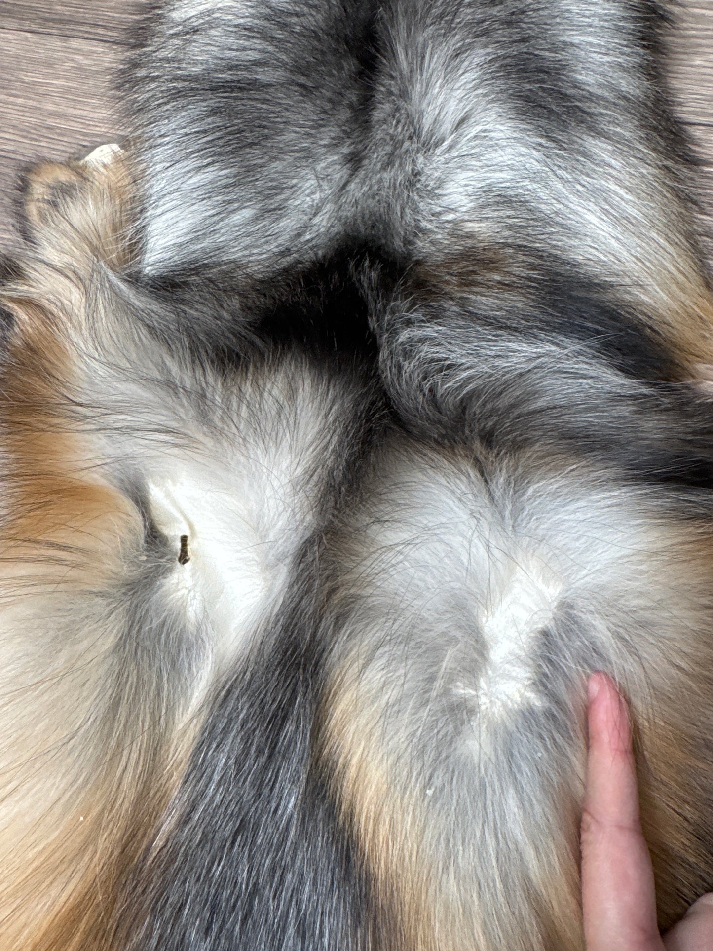 Smokey fox pelt (7)