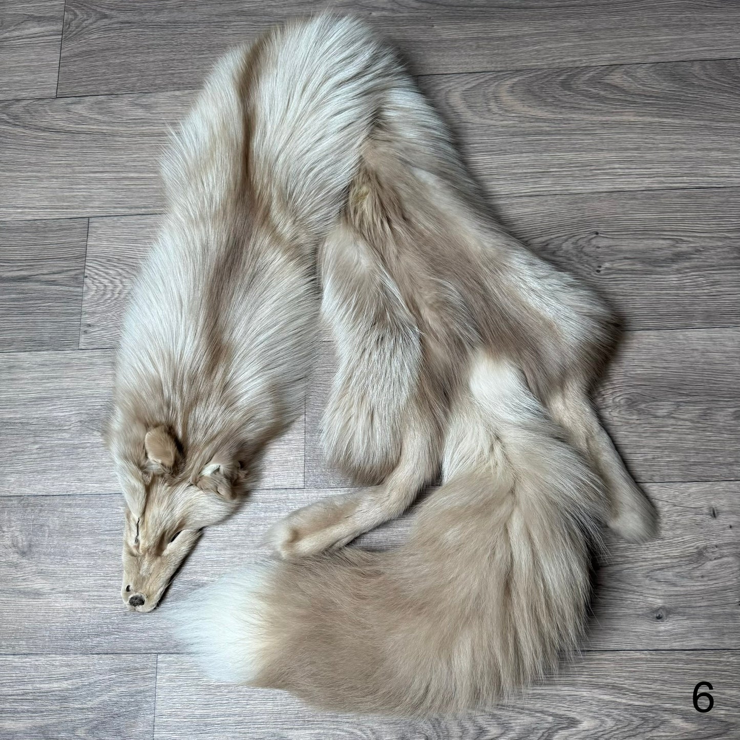 Amber fox pelt (6)