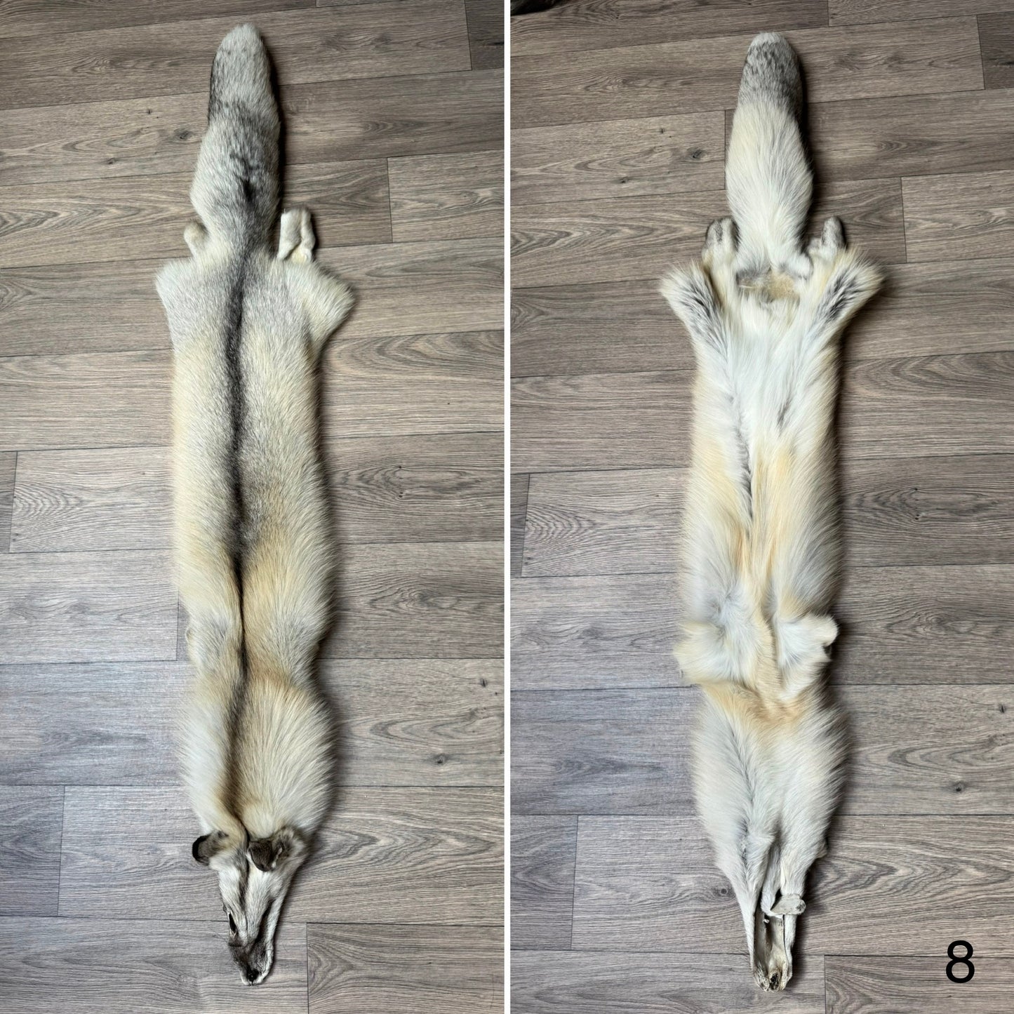 Fawn Light fox pelt (8)