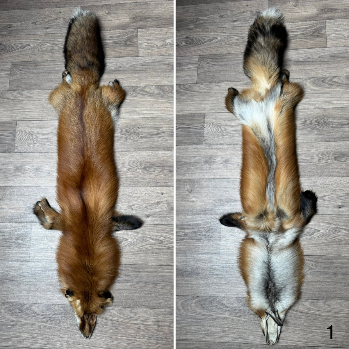 Gold fox pelt (1)