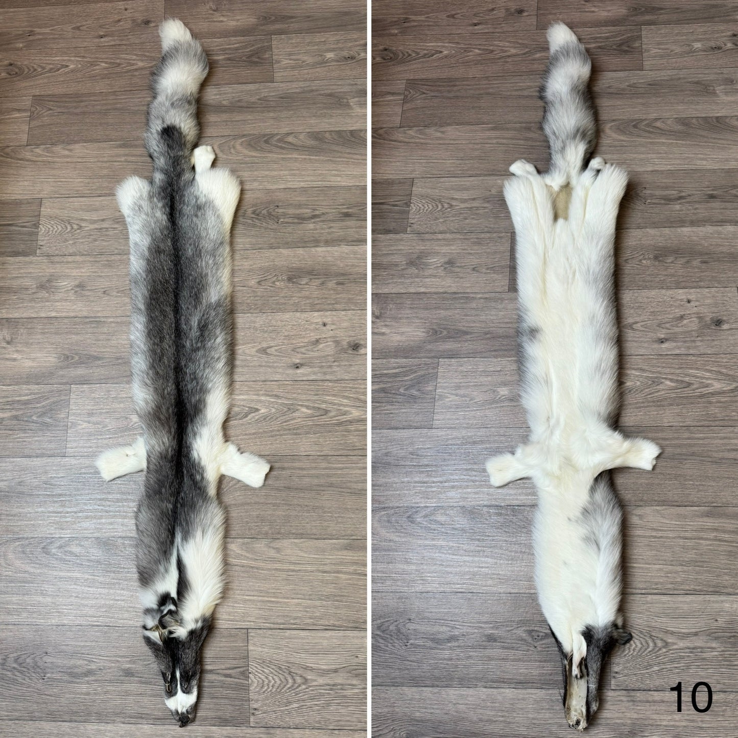 Marble Frost fox pelt (10)