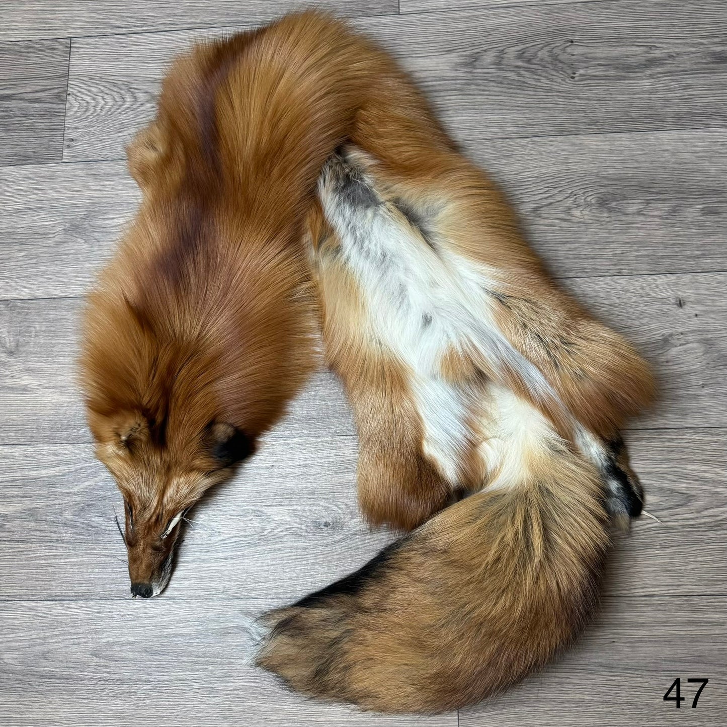 Gold fox pelt (47)