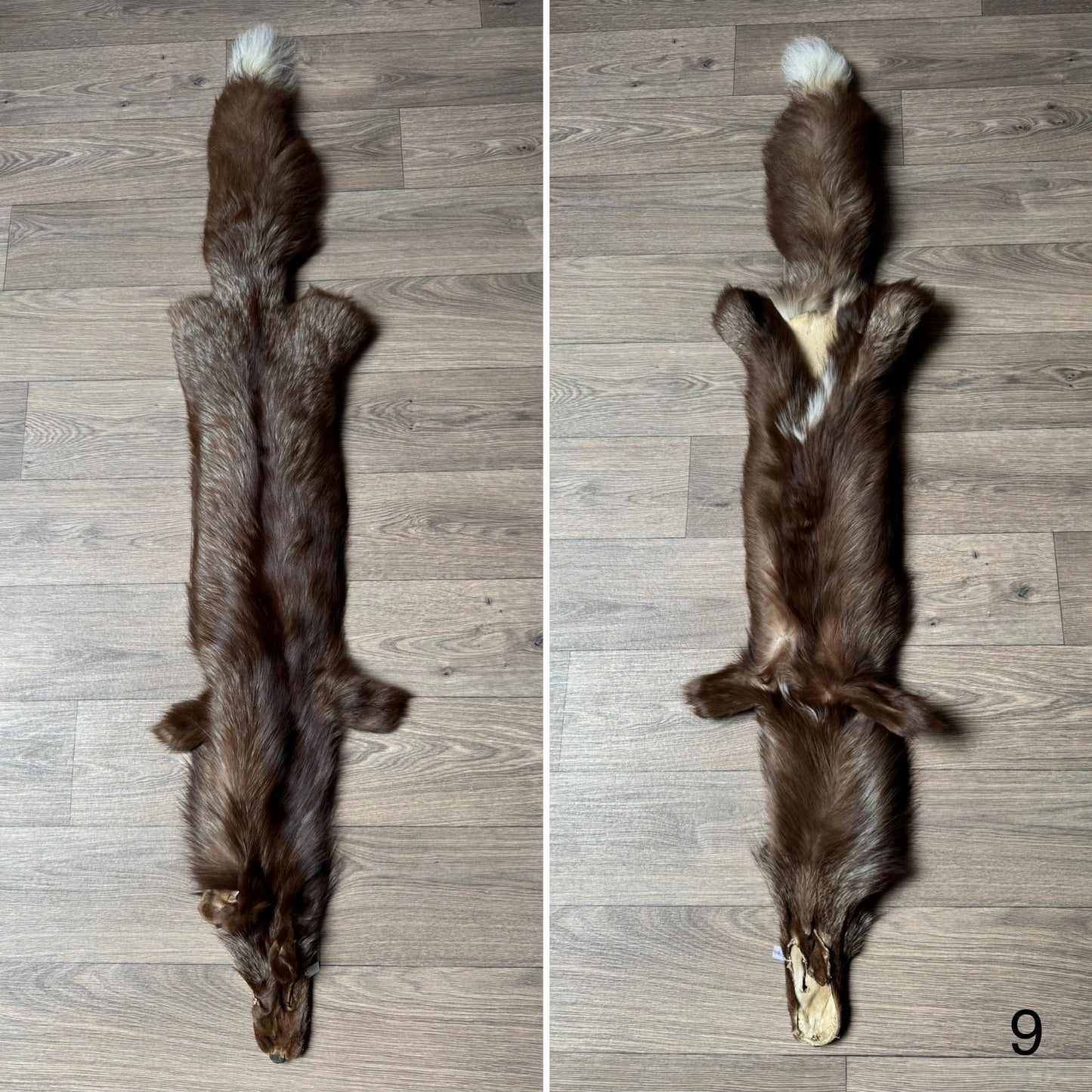 Burgundy fox pelt (9)