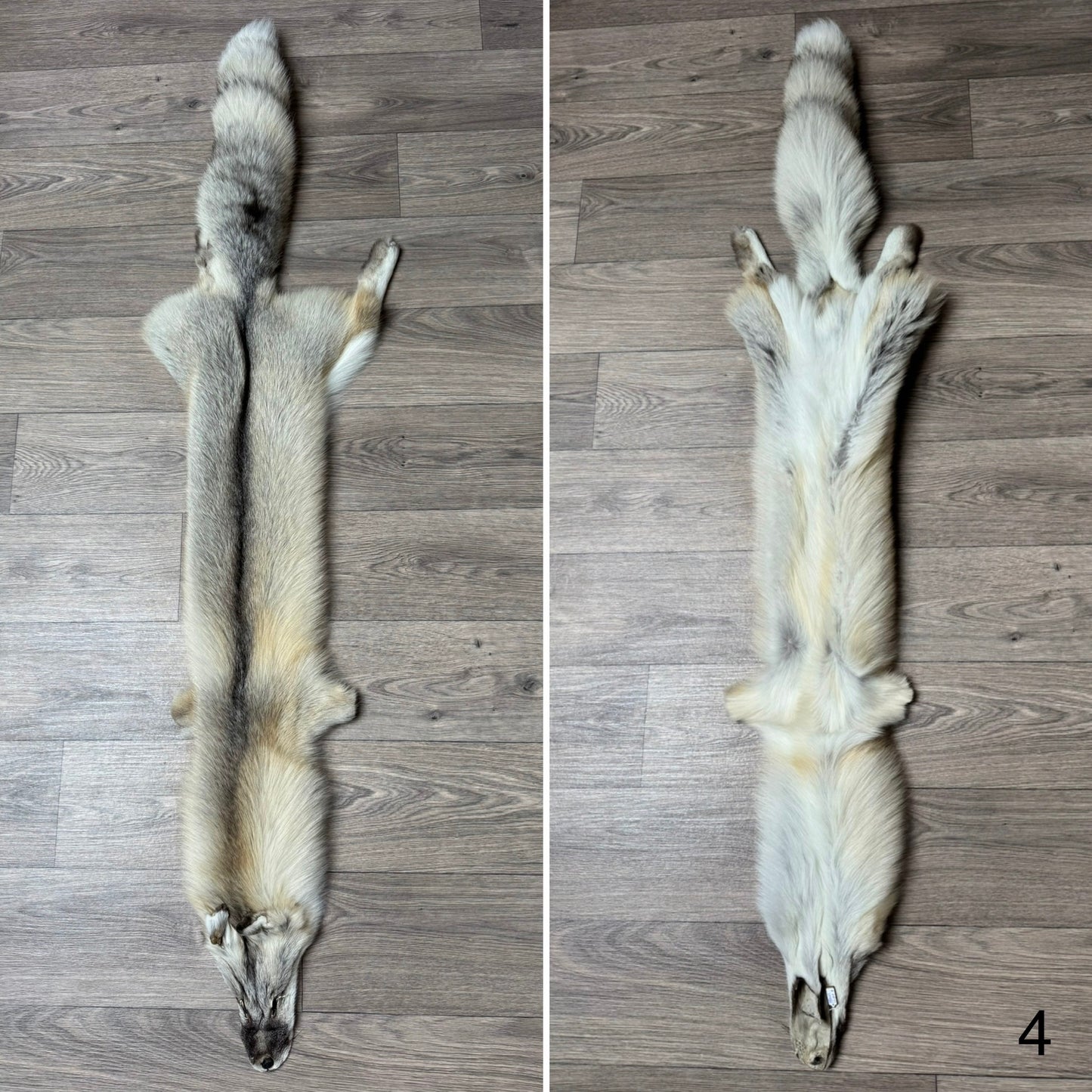 Fawn Light fox pelt (4)