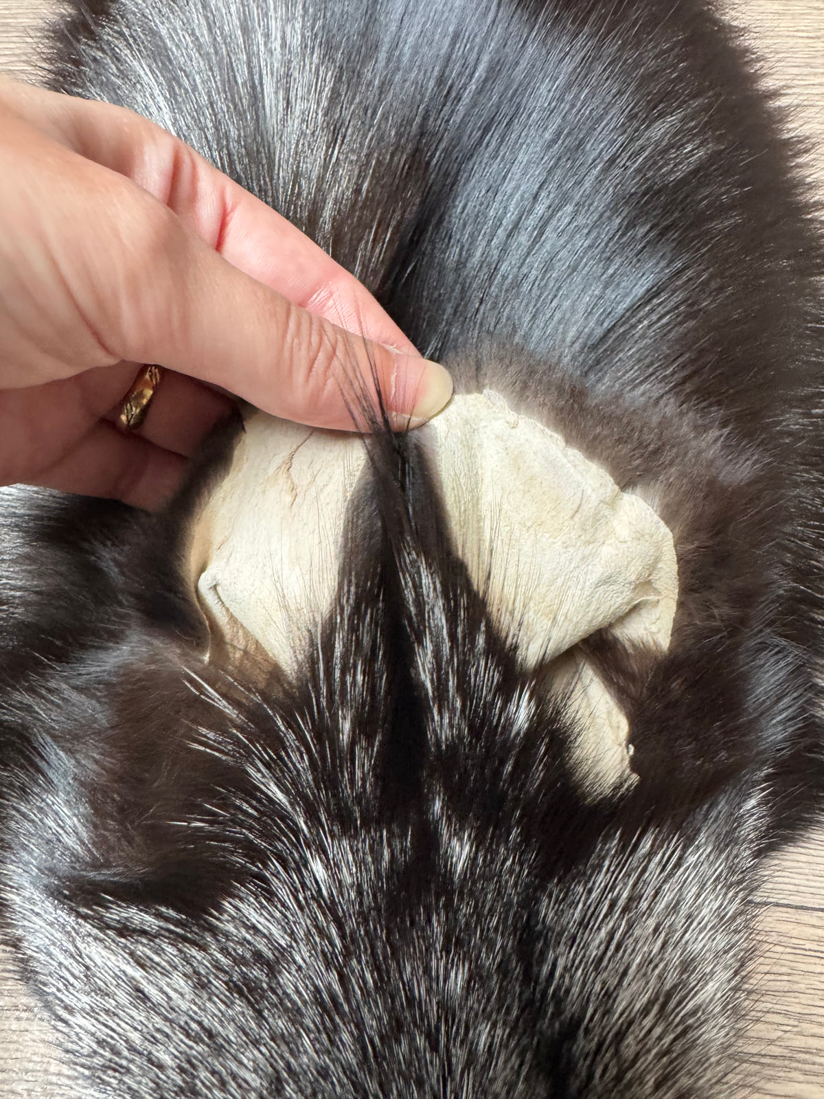 Silver fox pelt (18)