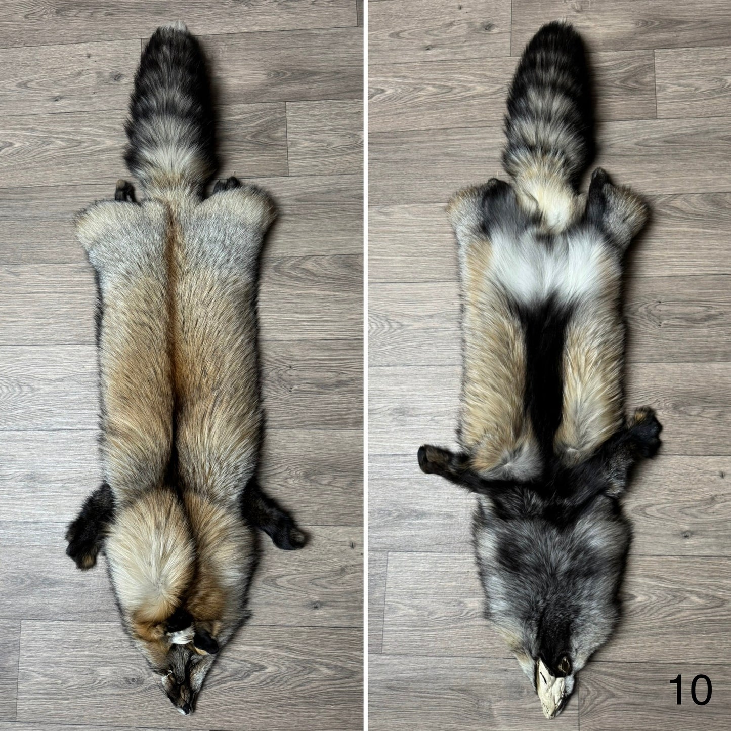 Smokey fox pelt (10)