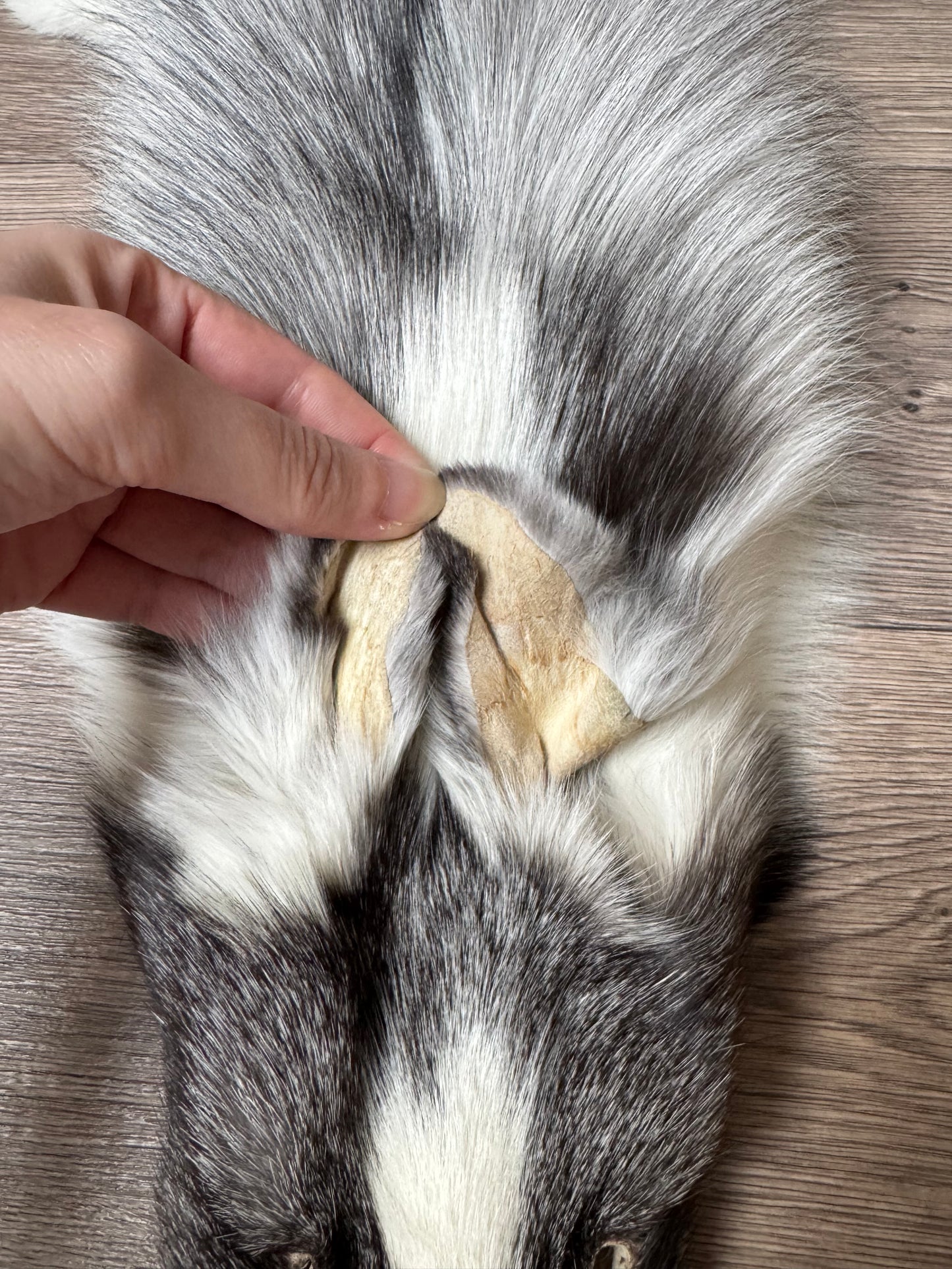 Marble Frost fox pelt (9)