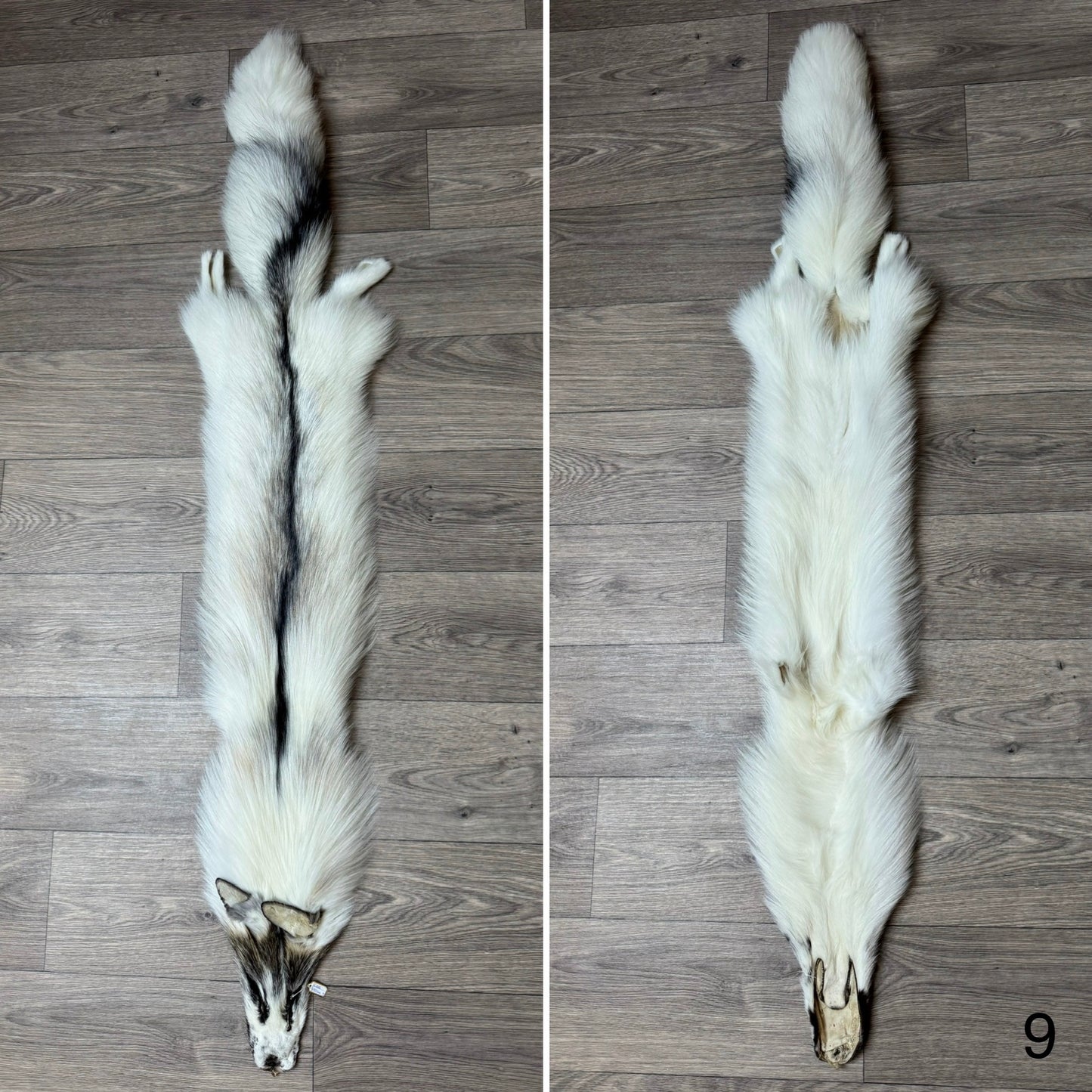 Cross Marble fox pelt (9)