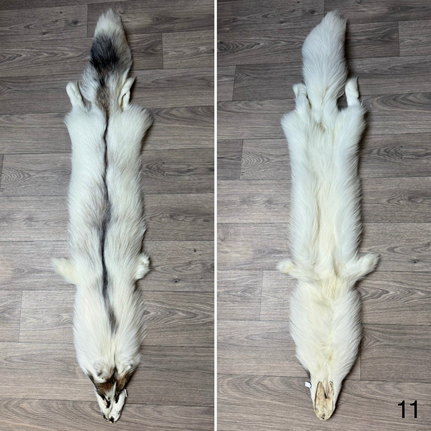Cross Marble fox pelt (11)