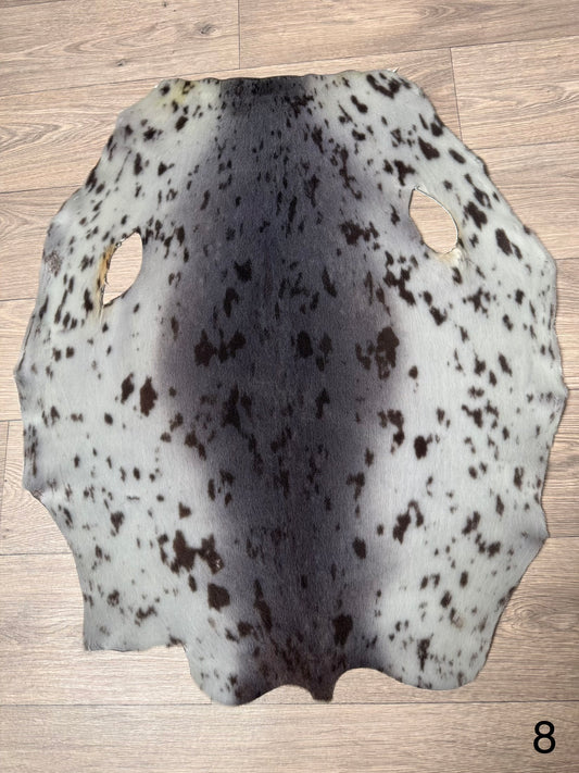 Harp seal skin (8)